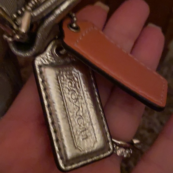 Silver Coach - Picture 2 of 11